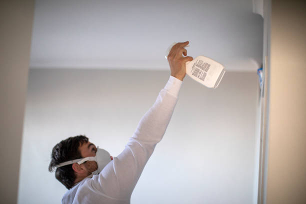 Certified Mold Removal in Reidsville, GA