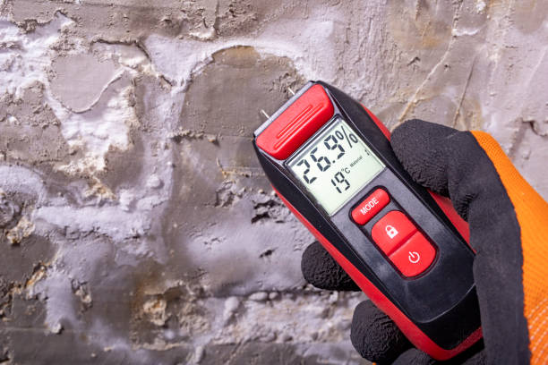Best Mold Remediation  in Reidsville, GA