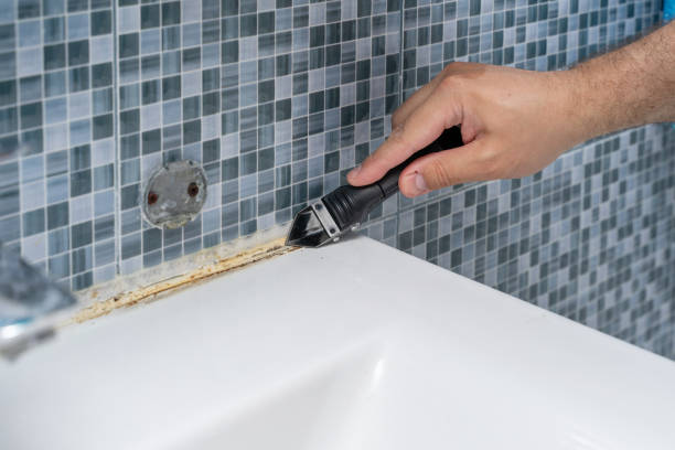 Professional Mold Removal in Reidsville, GA